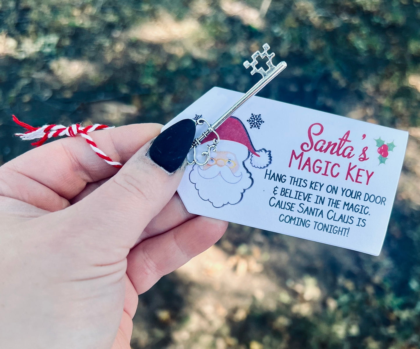 Santa Key as pictured- WS