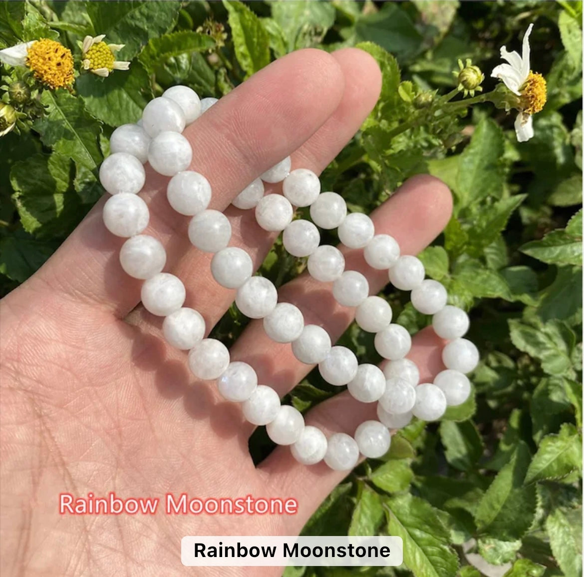 Round Crystal Stretchy Bracelets- WS